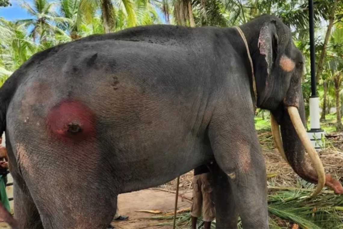 මුතු රාජා තායිලන්තයට යවන්නේ ආපසු ගෙන්වා ගැනීමේ කොන්දේසි පිටයි - අගමැති